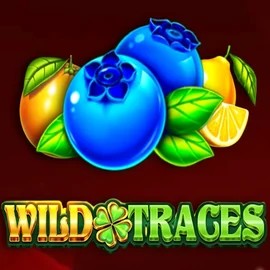 Wild Traces – slot by Amusnet Interactive, featured at magiusscasino.ca